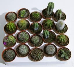���� ������ ���� 5/