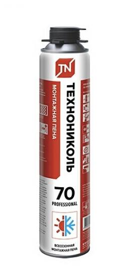 ���� ���� ��������� ����������� 70 PROFESSIONAL �����������, 12